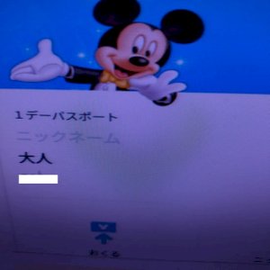 【格安】4/7(金) 東京ディズニーシー  大人１デイパスポート 9：00から入園 QRコード 電子チケット 1daypass
