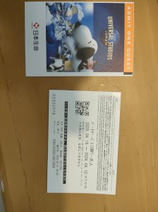 USJチケット　パートナーズ・パス　大人　2枚　2026年4月15日期限